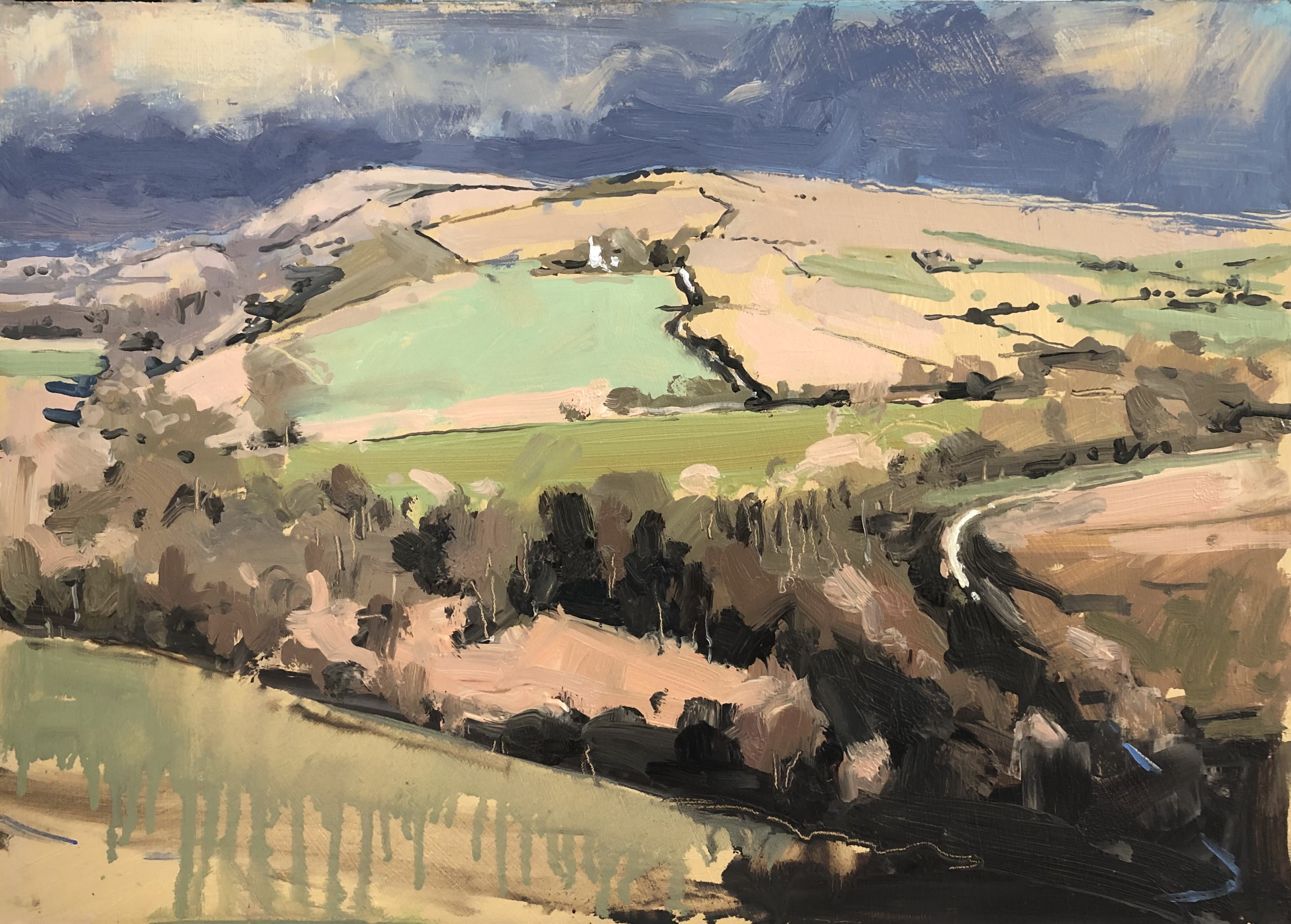 Sunlight on South Downs way, 2025